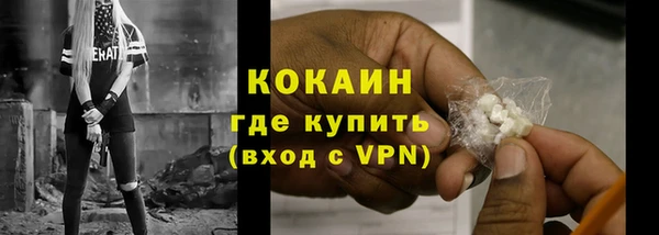 сатива Нея