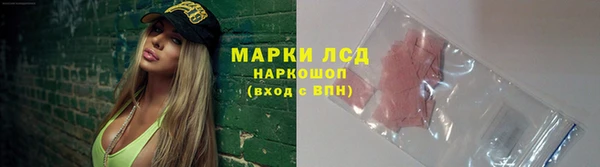 сатива Нея