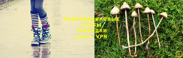 PSILOCYBIN Волоколамск