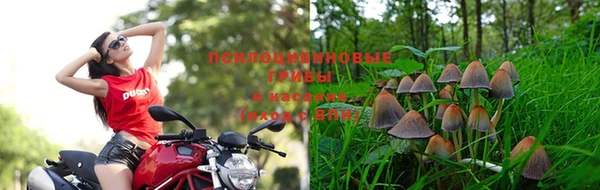 дистиллят марихуана Алексин