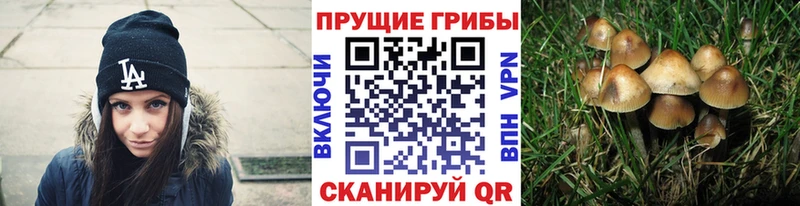 Галлюциногенные грибы ЛСД купить цена Ревда