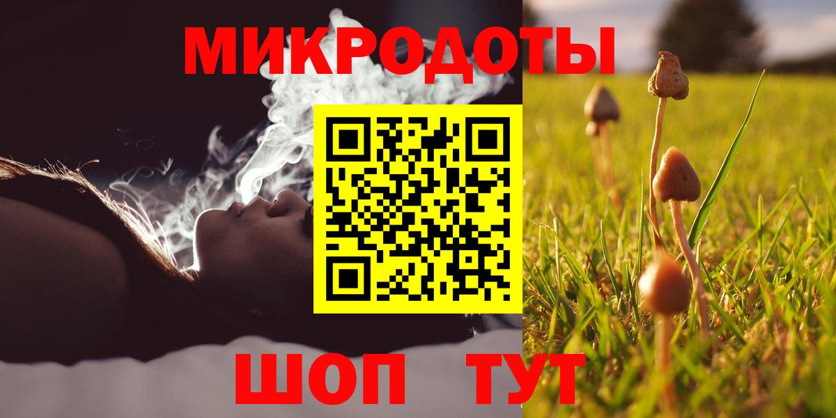 Галлюциногенные грибы Psilocybine cubensis Ревда