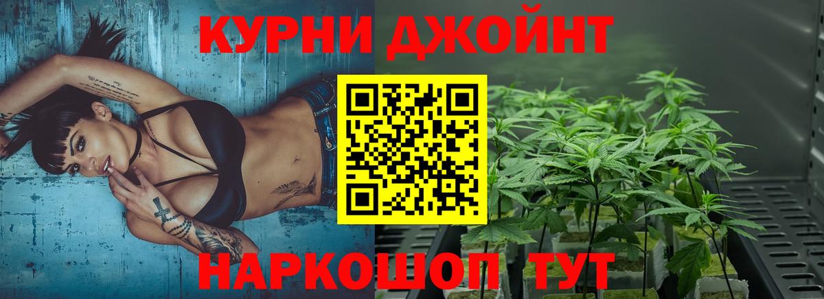 Бошки марихуана ГИДРОПОН  Ревда  Канабис ГИДРОПОН  Бошки Шишки THC 21% 